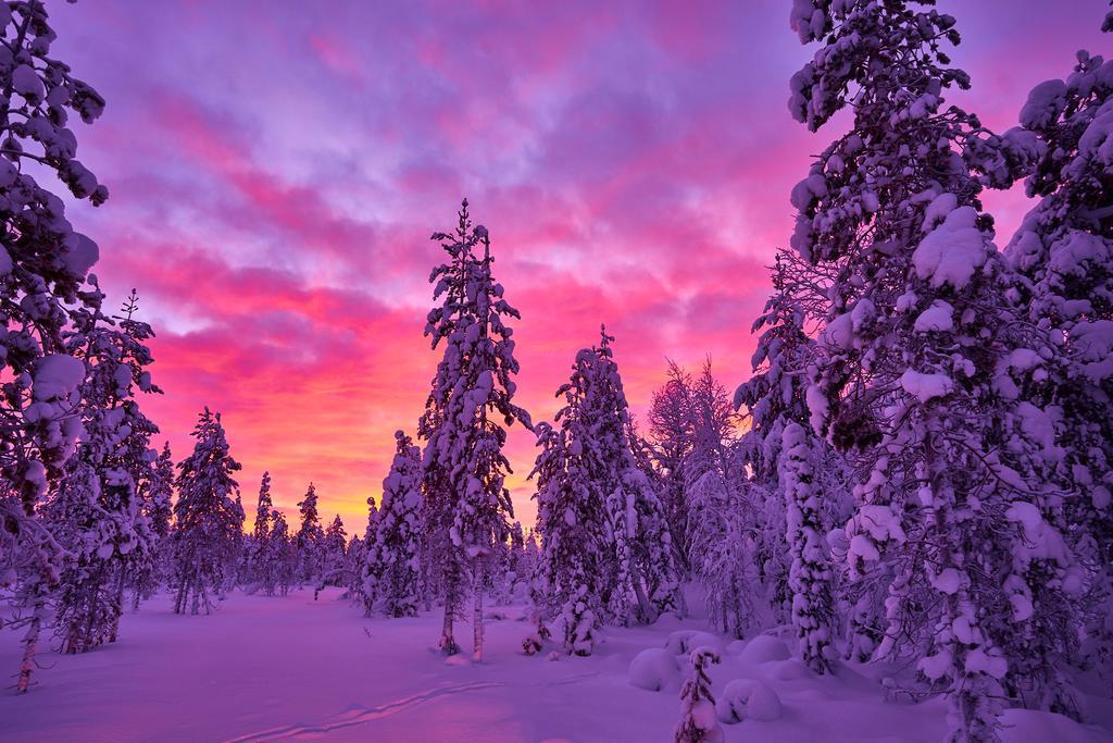 Lapland Guesthouse Kangos 外观 照片